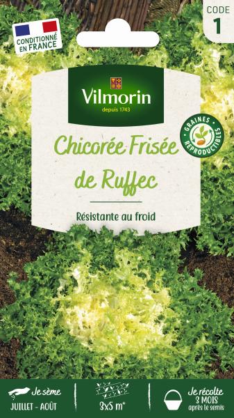 Potagères - Chicorée Frisée de Ruffec - PACKAGING_RECTO